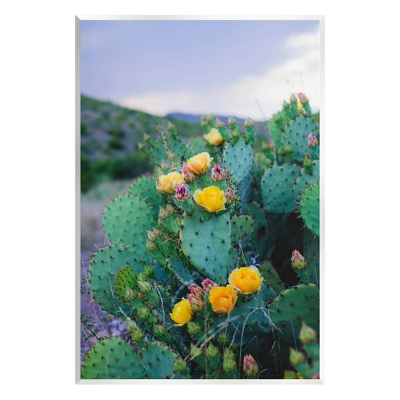 Stupell Industries Vivid Cactus Blossoms Photograph Unframed Art Print Wall Art, Design by Sonja Quintero