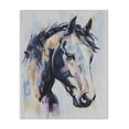 thumbnail image 1 of Stupell Industries Modern Vivid Equine Portrait Canvas Art, 30 x 40, by Svetlana Aleynikova, 1 of 8