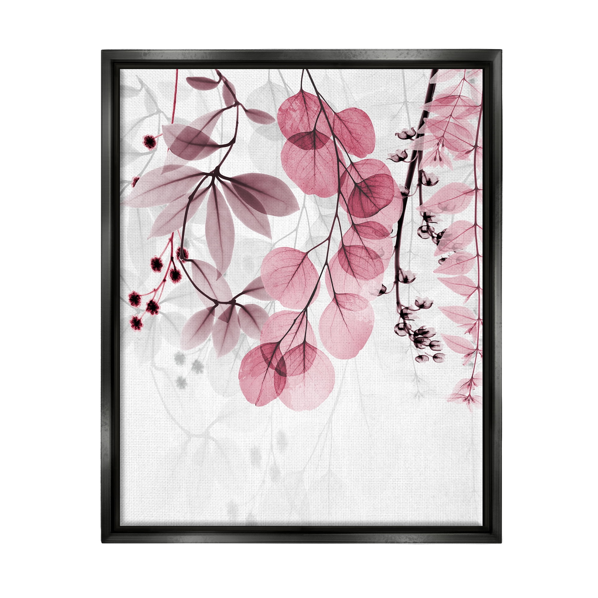 Stupell Industries Vivid Matter Botanicals Botanical & Floral Painting Black Floater Framed Art Print Wall Art, 17 x 21