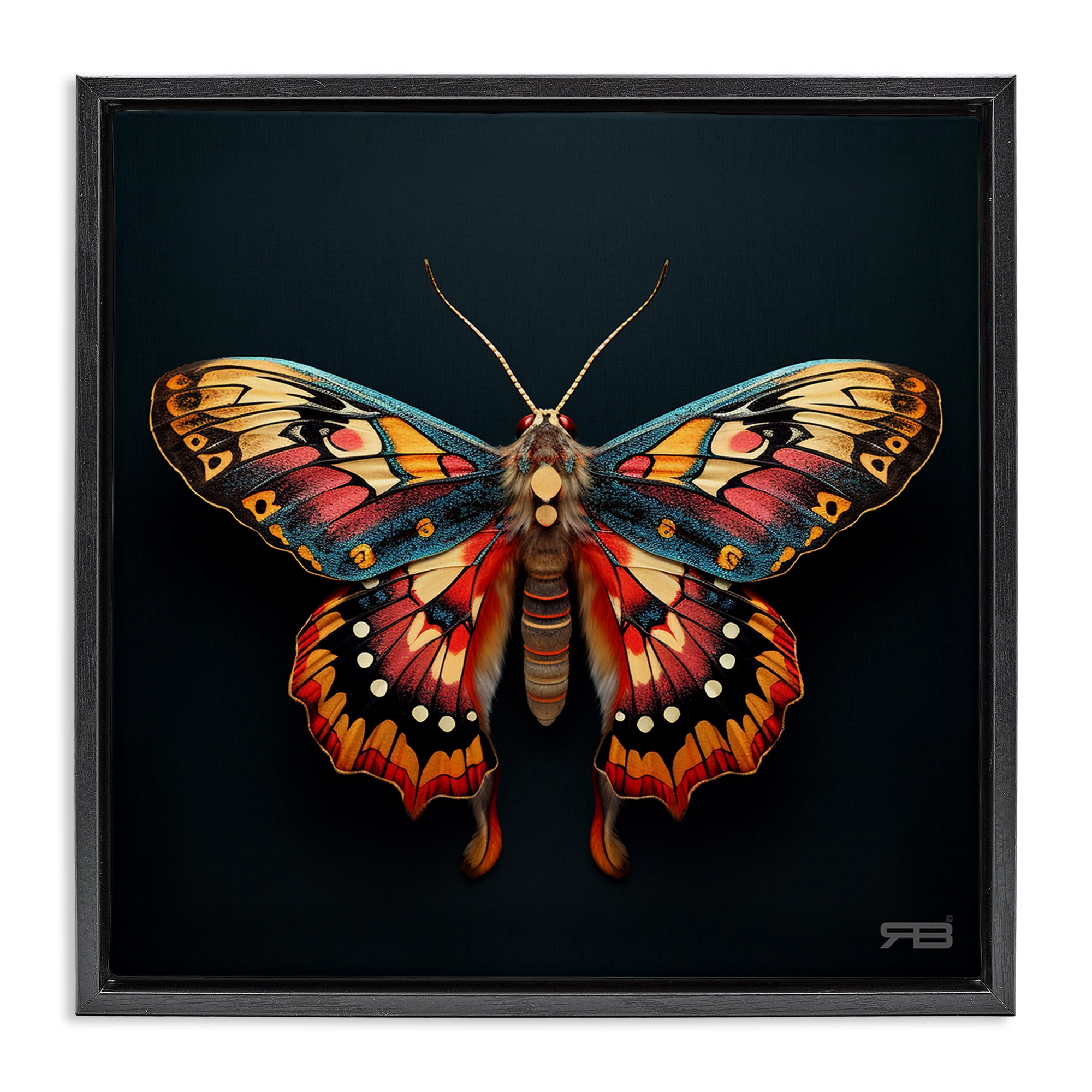 Stupell Industries Vivid Patterned Moth Animals & Insects Painting Black Floater Framed Canvas Art Print Wall Art, 18 x 18