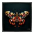 thumbnail image 1 of Stupell Industries Vivid Patterned Moth Animals & Insects Painting Black Floater Framed Canvas Art Print Wall Art, 25 x 25, 1 of 10