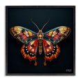 thumbnail image 1 of Stupell Industries Vivid Patterned Moth Animals & Insects Painting Black Framed Art Print Wall Art, 12 x 12, 1 of 10