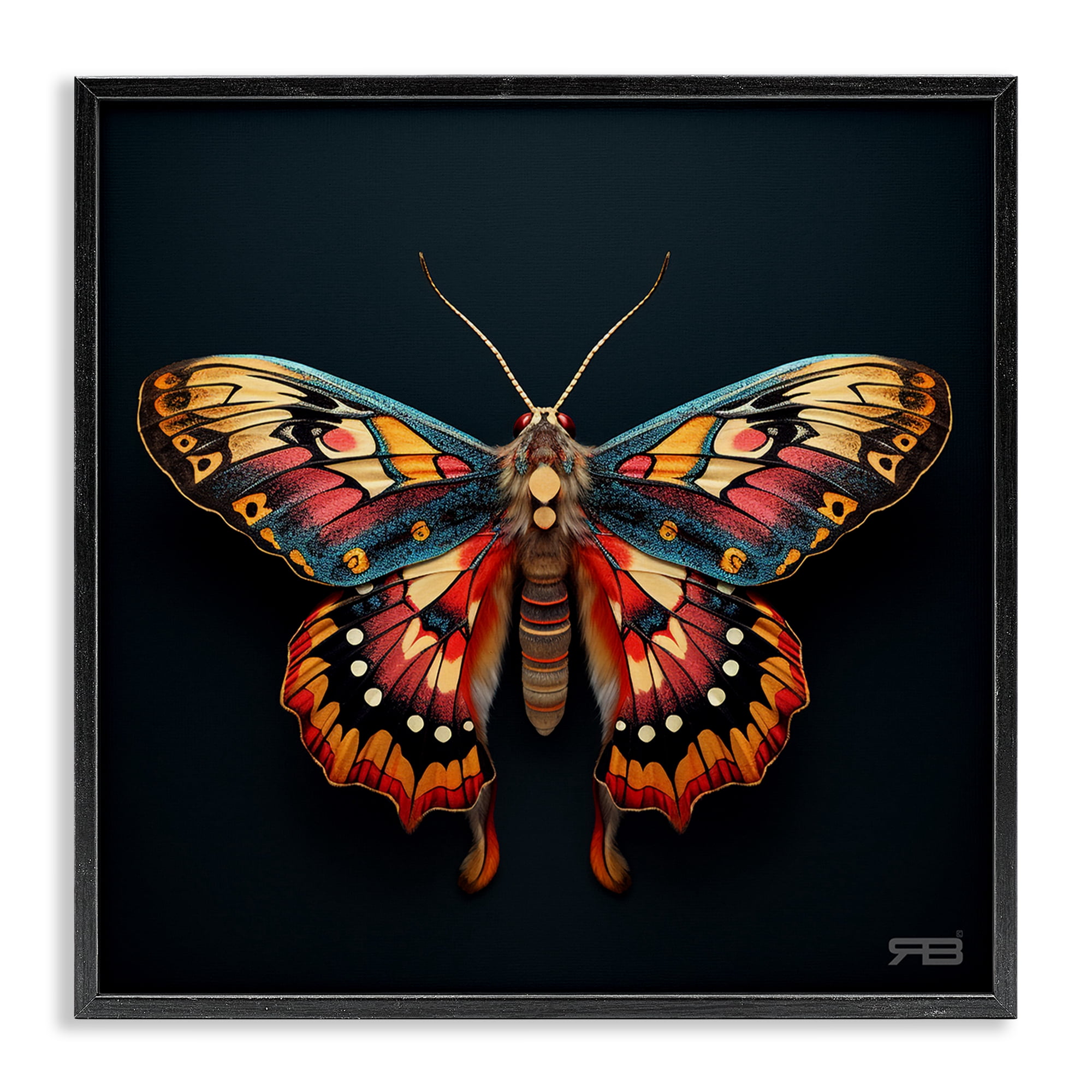 Stupell Industries Vivid Patterned Moth Animals & Insects Painting Black Framed Art Print Wall Art, 24 x 24