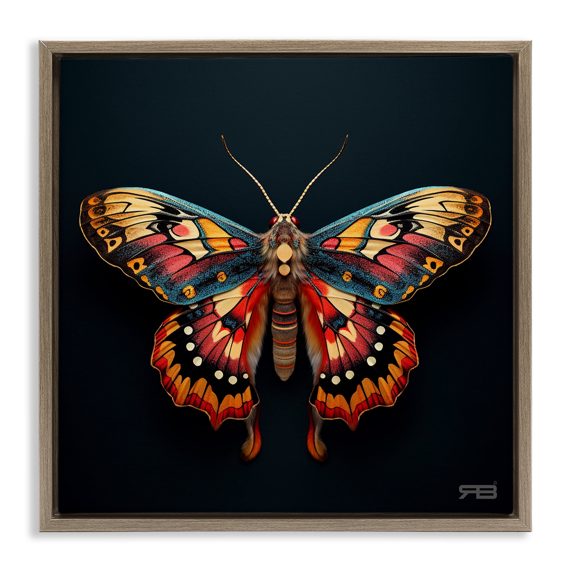 Stupell Industries Vivid Patterned Moth Animals & Insects Painting Brown Floater Framed Canvas Art Print Wall Art, 18 x 18