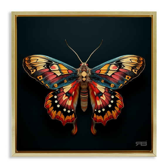 Stupell Industries Vivid Patterned Moth Animals & Insects Painting Gold Floater Framed Canvas Art Print Wall Art, 25 x 25