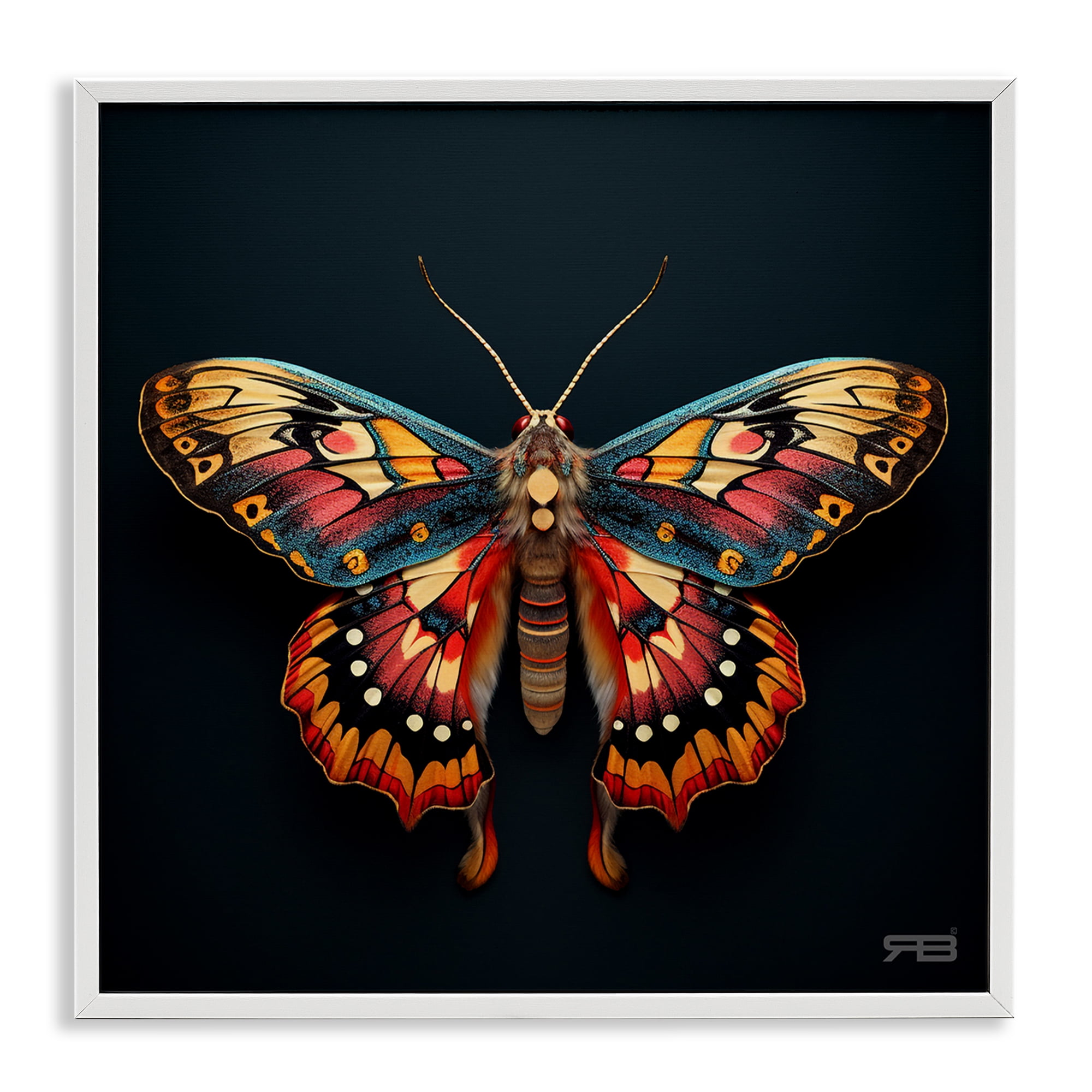 Stupell Industries Vivid Patterned Moth Animals & Insects Painting White Framed Art Print Wall Art, 12 x 12