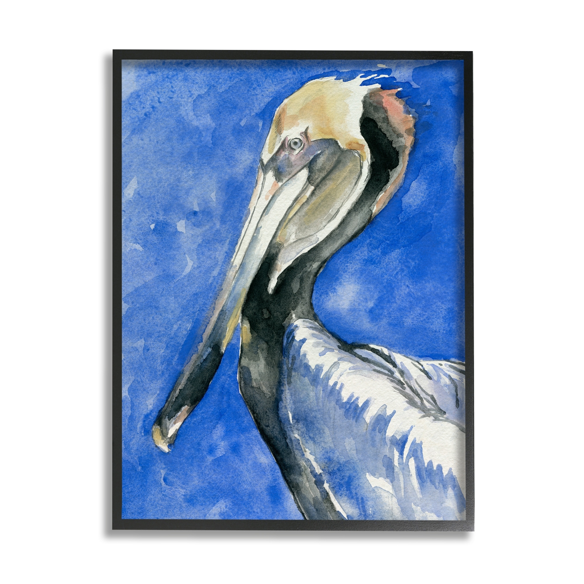 Stupell Industries Vivid Pelican Wildlife Bird Blue Watercolor Detail Painting Black Framed Art Print Wall Art, Design by Jennifer Paxton Parker
