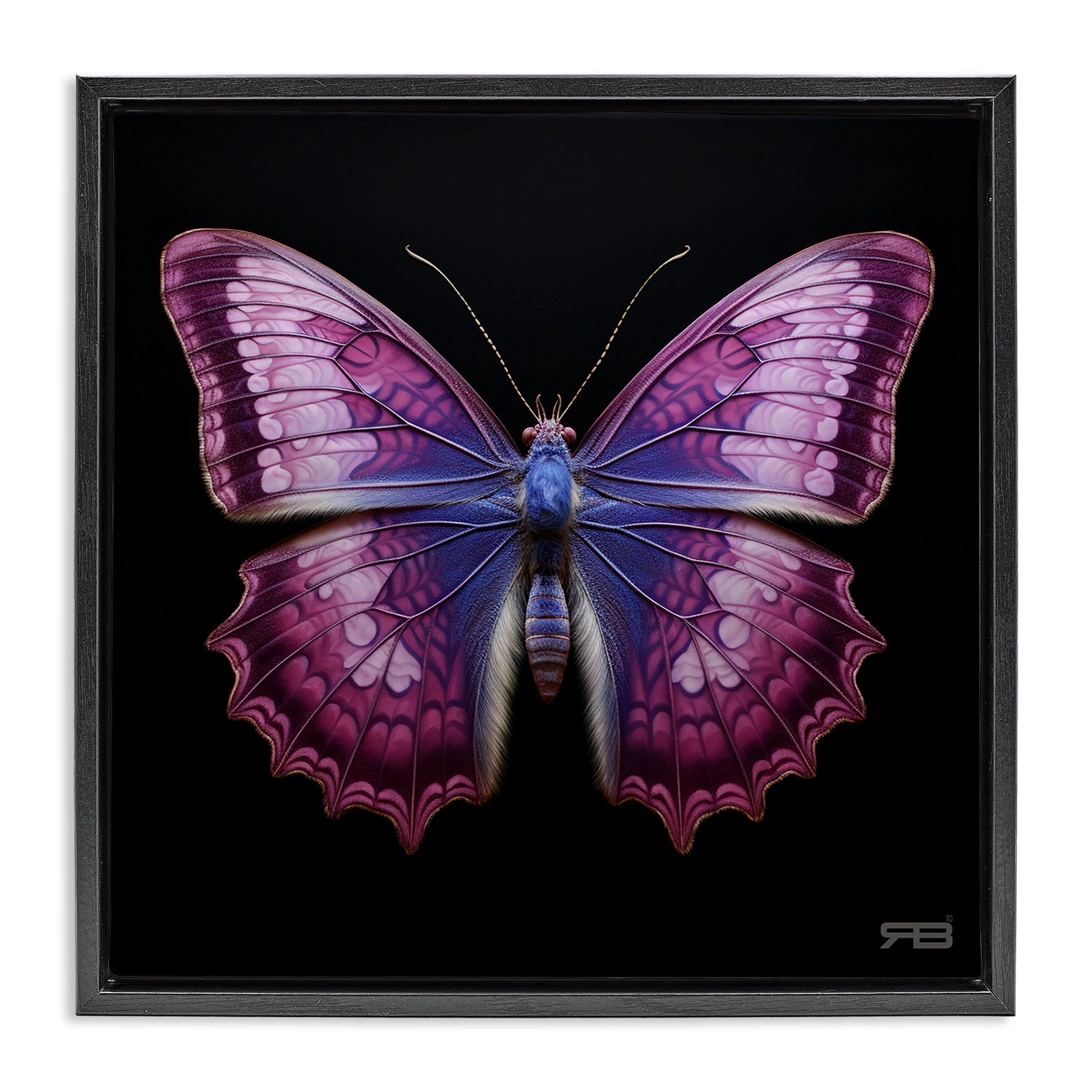 Stupell Industries Vivid Purple Butterfly Animals & Insects Painting Black Floater Framed Canvas Art Print Wall Art, 18 x 18