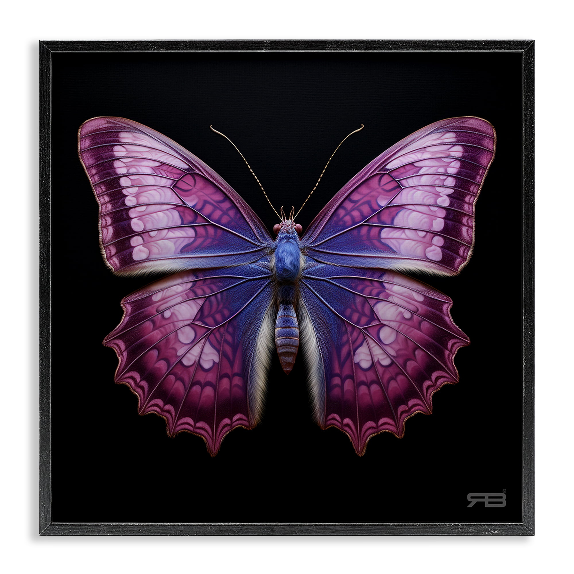 Stupell Industries Vivid Purple Butterfly Animals & Insects Painting Black Framed Art Print Wall Art, 24 x 24