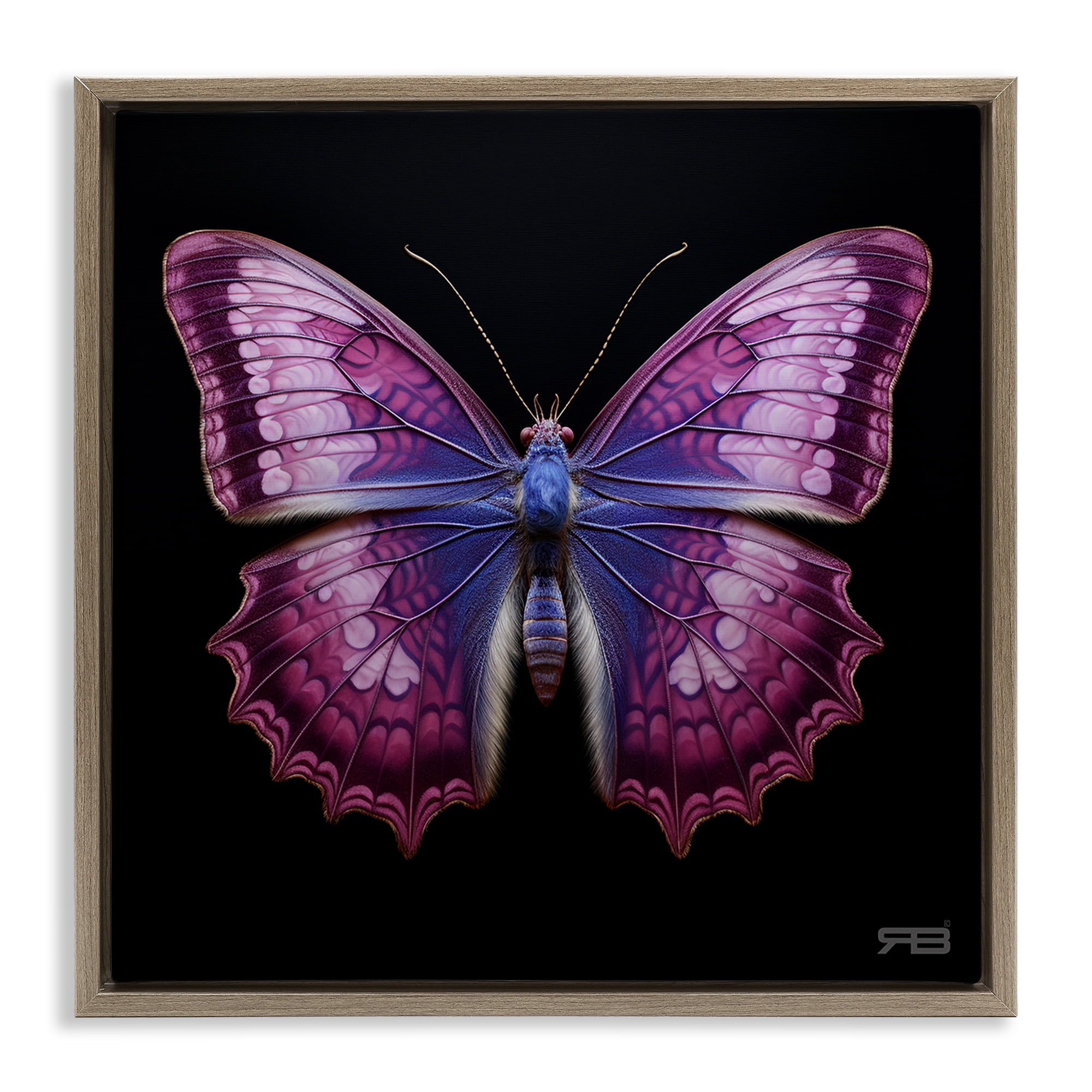 Stupell Industries Vivid Purple Butterfly Animals & Insects Painting Brown Floater Framed Canvas Art Print Wall Art, 18 x 18
