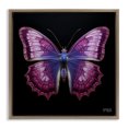 thumbnail image 1 of Stupell Industries Art Deco Vivid Purple Butterfly Brown Floating Frame Canvas Art, 25 x 25, by RB, 1 of 8