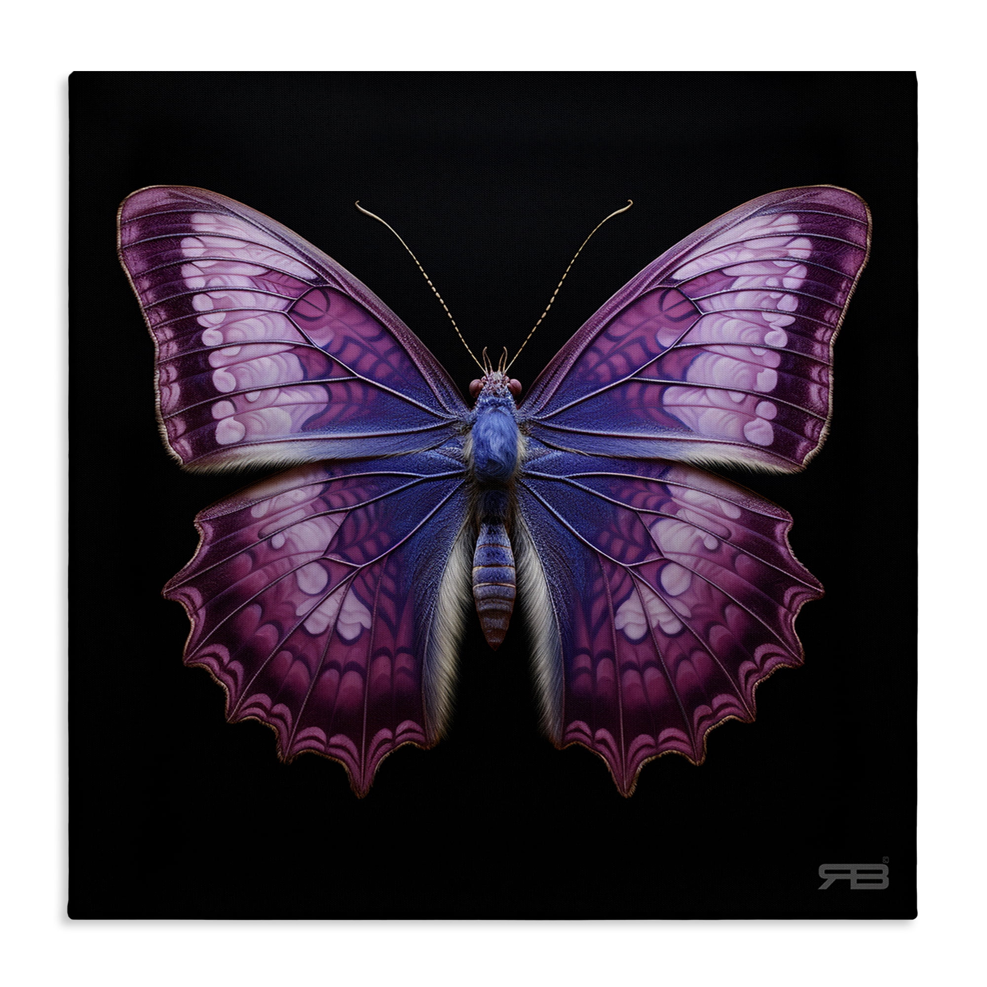 Stupell Industries Vivid Purple Butterfly Animals & Insects Painting Gallery Wrapped Canvas Art Print Wall Art, 36 x 36