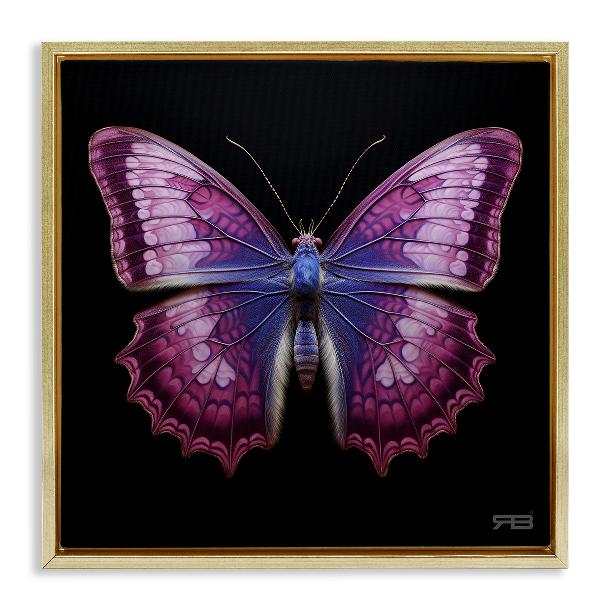 Stupell Industries Vivid Purple Butterfly Animals & Insects Painting Gold Floater Framed Canvas Art Print Wall Art, 25 x 25