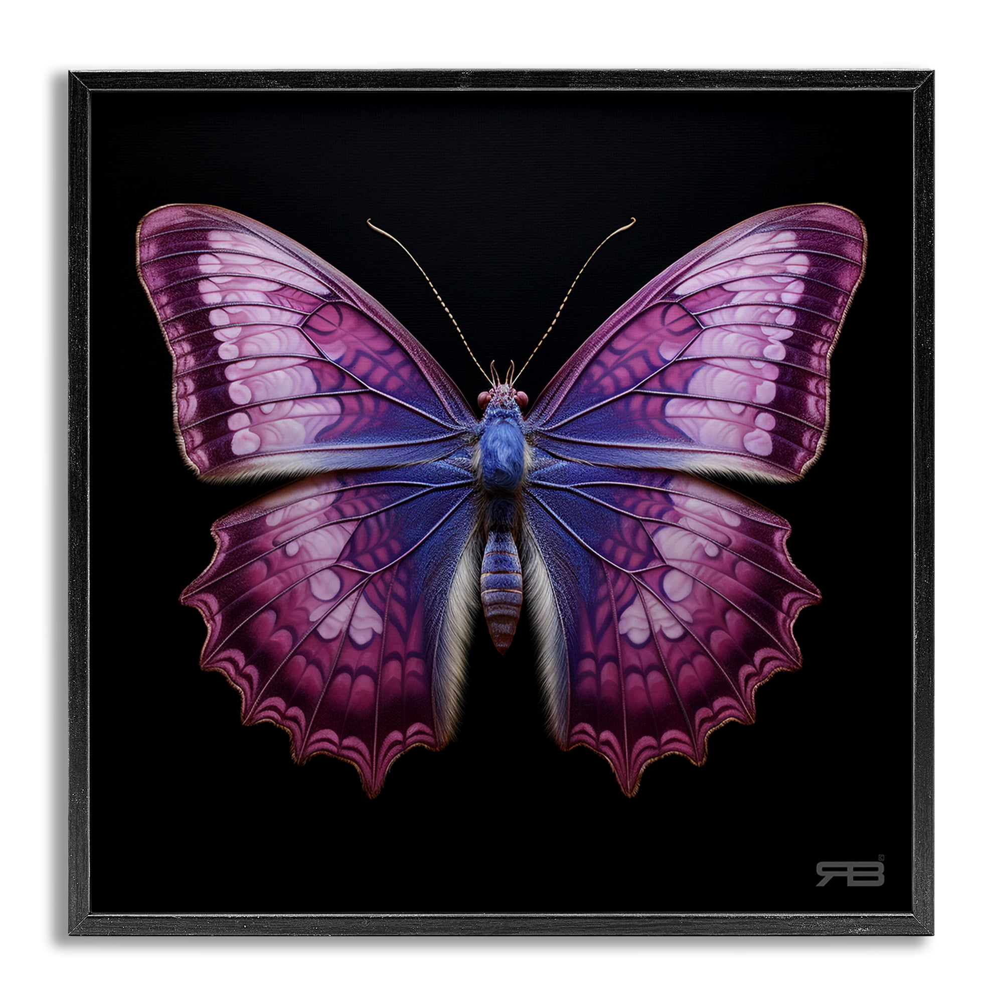 Stupell Industries Vivid Purple Butterfly Animals & Insects Painting Gray Framed Art Print Wall Art, 24 x 24