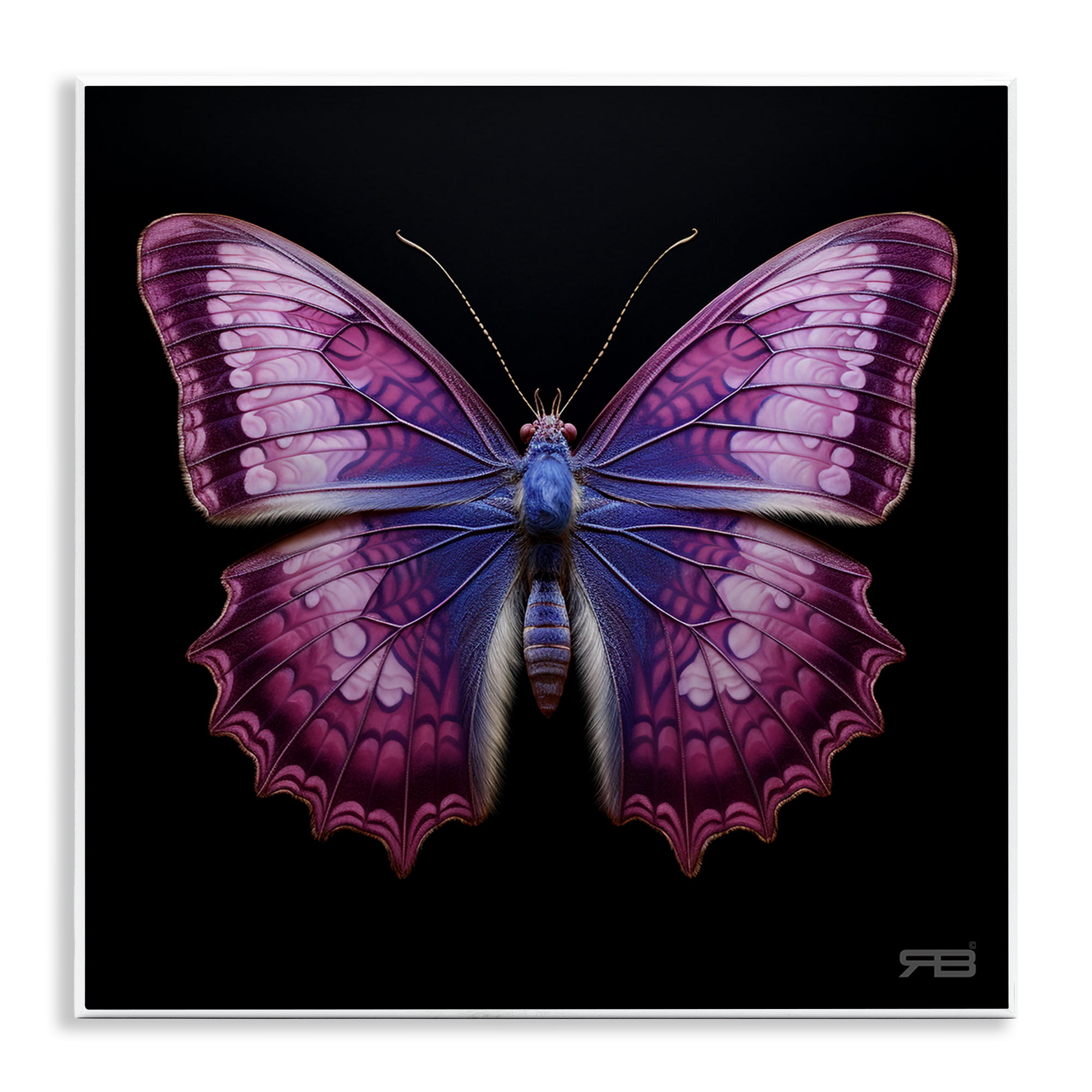 Stupell Industries Vivid Purple Butterfly Animals & Insects Painting Unframed Art Print Wall Art, 12 x 12