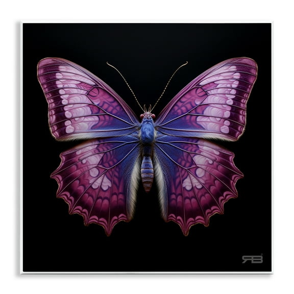 Stupell Industries Vivid Purple Butterfly Animals & Insects Painting Unframed Art Print Wall Art, 12 x 12