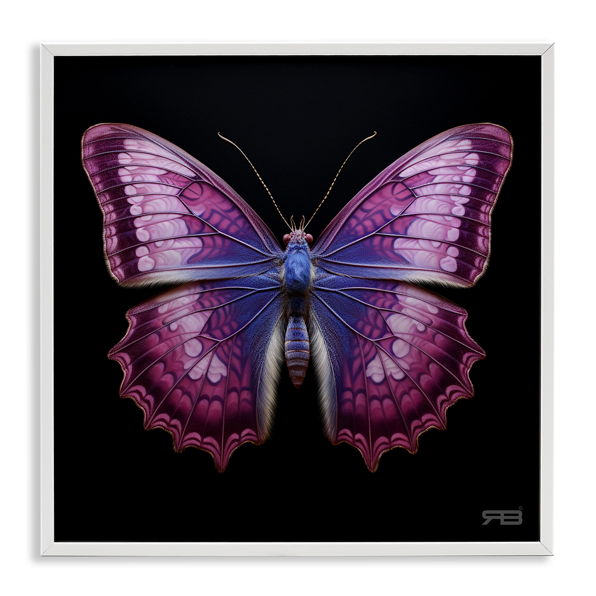 Stupell Industries Vivid Purple Butterfly Animals & Insects Painting White Framed Art Print Wall Art, 24 x 24