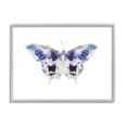 thumbnail image 1 of Stupell Industries Vivid Purple Butterfly Insect Graphic Art Gray Framed Art Print Wall Art, Design by Leah Straatsma, 1 of 8