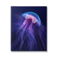 thumbnail image 1 of Stupell Industries Vivid Purple Jellyfish Swimming Ocean Sea Life Canvas Wall Art, 36 x 48, Design by Steve Hunziker, 1 of 5