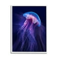 thumbnail image 1 of Stupell Industries Vivid Purple Jellyfish Swimming Ocean Sea Life Framed Wall Art, 11 x 14, Design by Steve Hunziker, 1 of 5