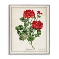 thumbnail image 1 of Stupell Industries Transitional Vivid Red Geranium Blossoms Gray Framed Giclee Art, 24 x 30, by Danielle Murray, 1 of 7