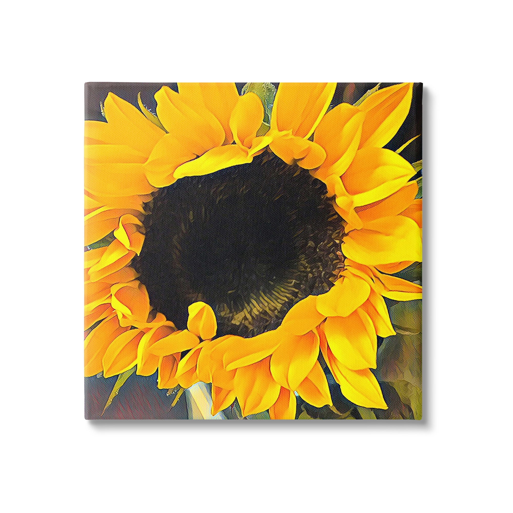 Stupell Industries Vivid Yellow Sunflower Botanical & Floral Painting Gallery Wrapped Canvas Art Print Wall Art, 36 x 36
