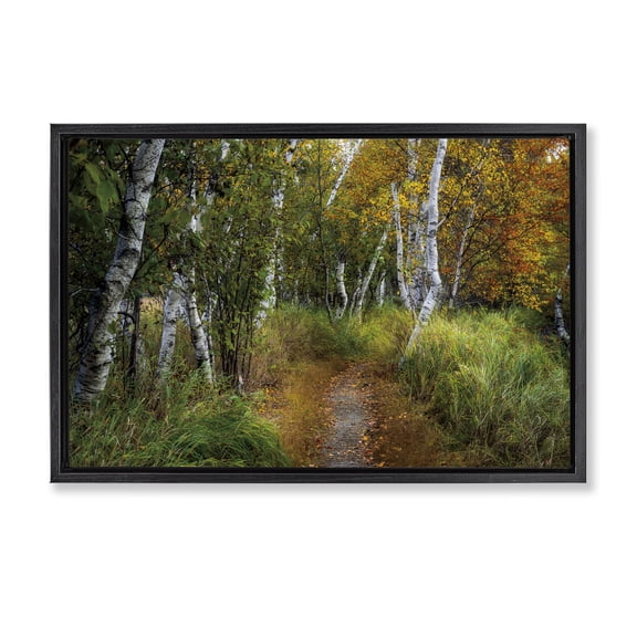 Stupell Industries Walk In The Hemlocks Forest Black Framed Floater Canvas Wall Art design by D. Burt, 17 x 25