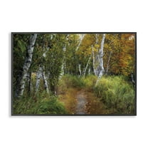 Stupell Industries Walk In The Hemlocks Forest Black Framed Giclee Art design by D. Burt, 12 x 18
