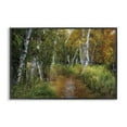 thumbnail image 1 of Stupell Industries Walk In The Hemlocks Forest Black Framed Giclee Art design by D. Burt, 16 x 24, 1 of 8