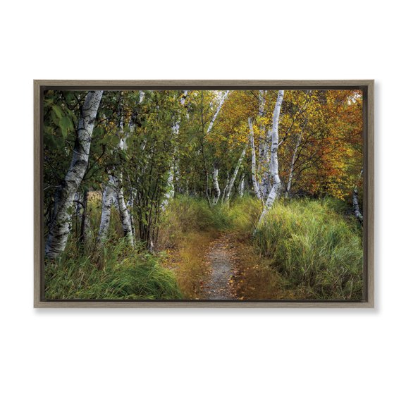 Stupell Industries Walk In The Hemlocks Forest Brown Framed Floater Canvas Wall Art design by D. Burt, 17 x 25