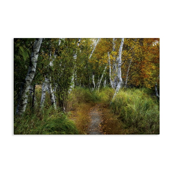 Stupell Industries Walk In The Hemlocks Forest Canvas Wall Art design by D. Burt, 20 x 30