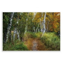 Stupell Industries Walk In The Hemlocks Forest Wall Plaque Art design by D. Burt, 10 x 15