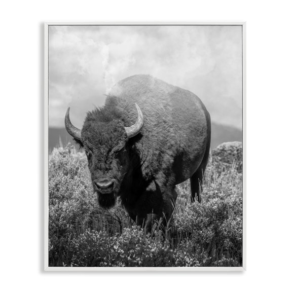 Stupell Industries Wandering Bison Monochrome Portrait White Framed Giclee Art design by Marcus Prime, 14 x 11