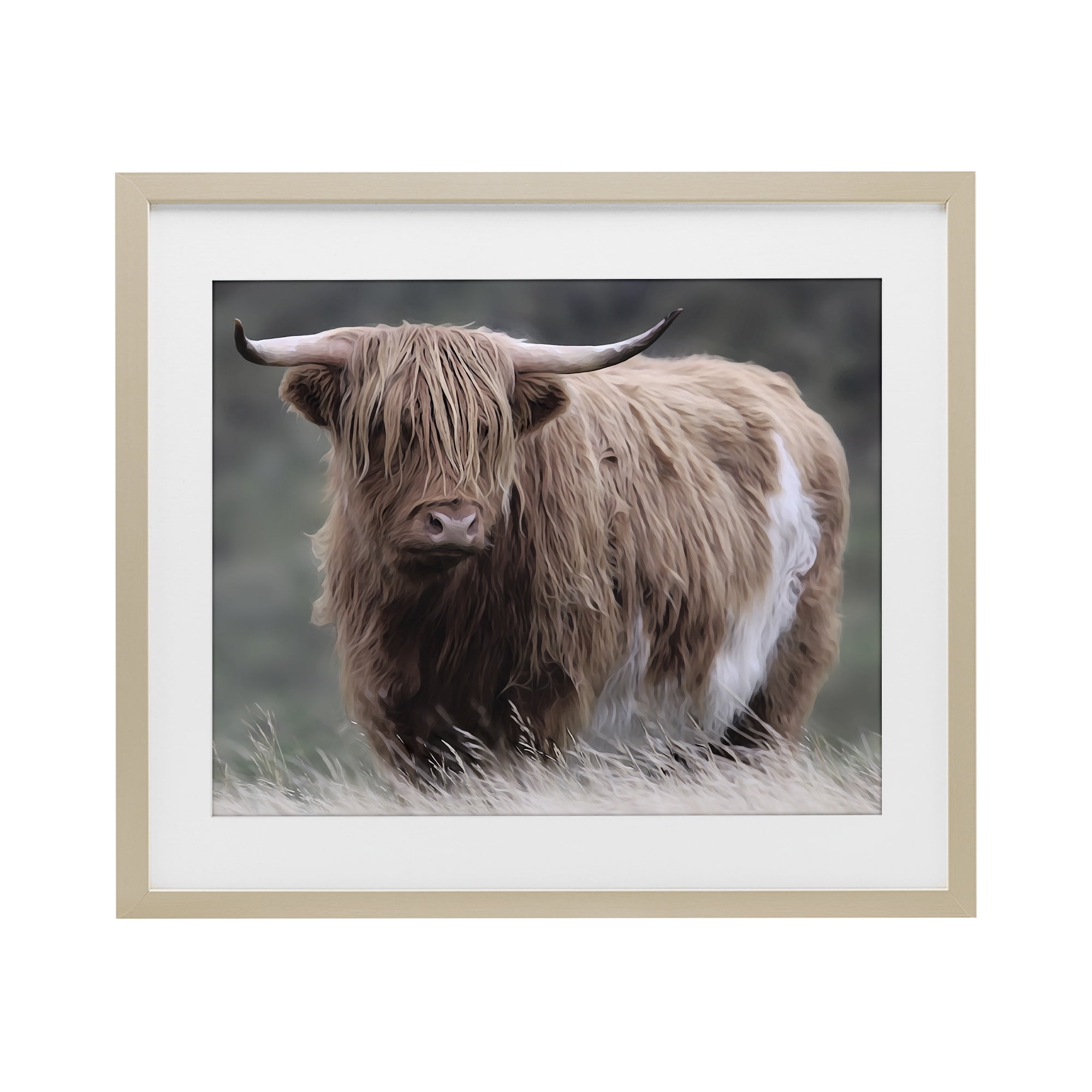 Stupell Industries Wandering Harry Highland Cattle Birch Framed Print Under Glass, design by Marcus Prime
