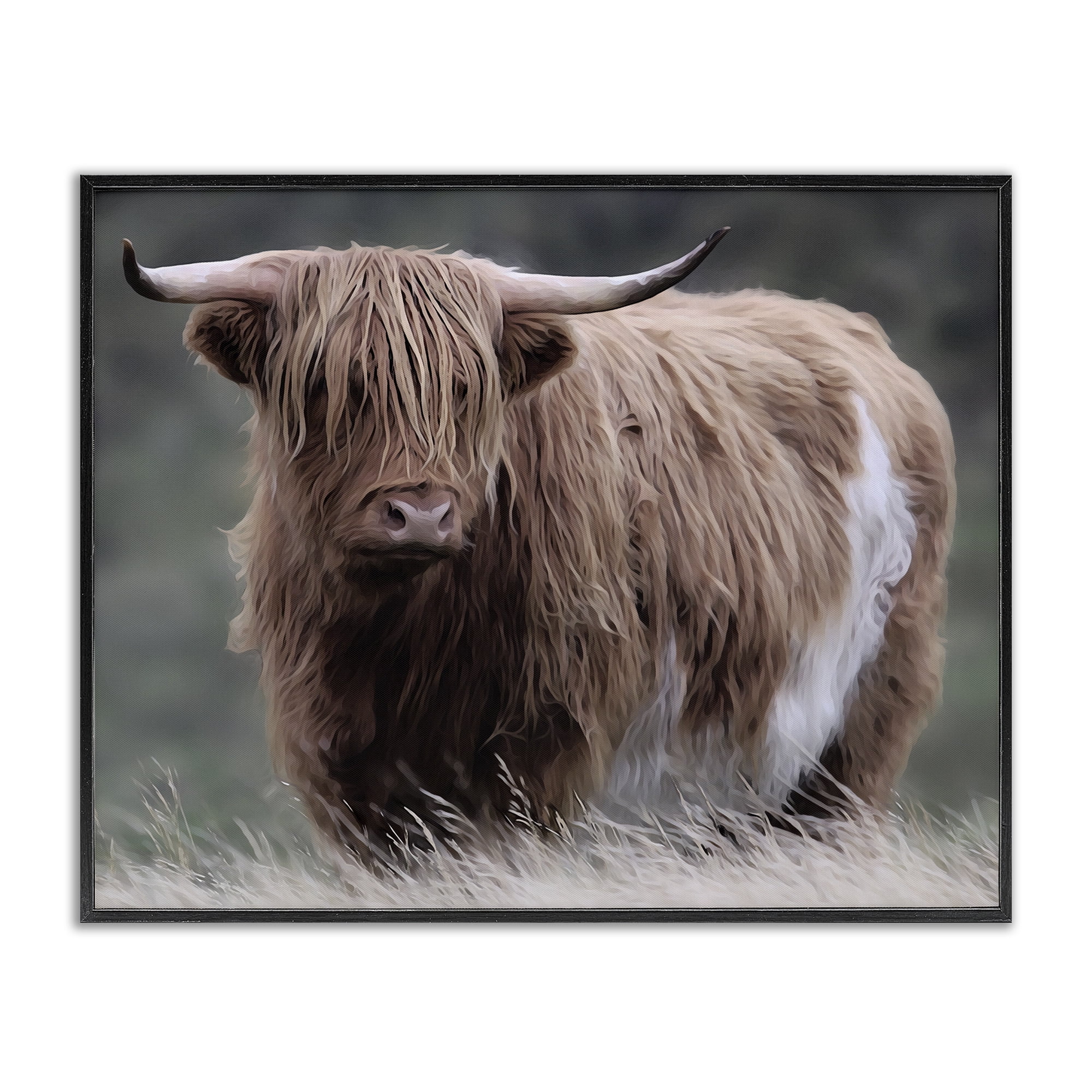 Stupell Industries Wandering Harry Highland Cattle Black Framed Giclee Art, design by Marcus Prime