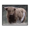 thumbnail image 1 of Stupell Industries Farmhouse Wandering Harry Highland Cattle Black Framed Giclee Art, 14 x 11, by Marcus Prime, 1 of 8
