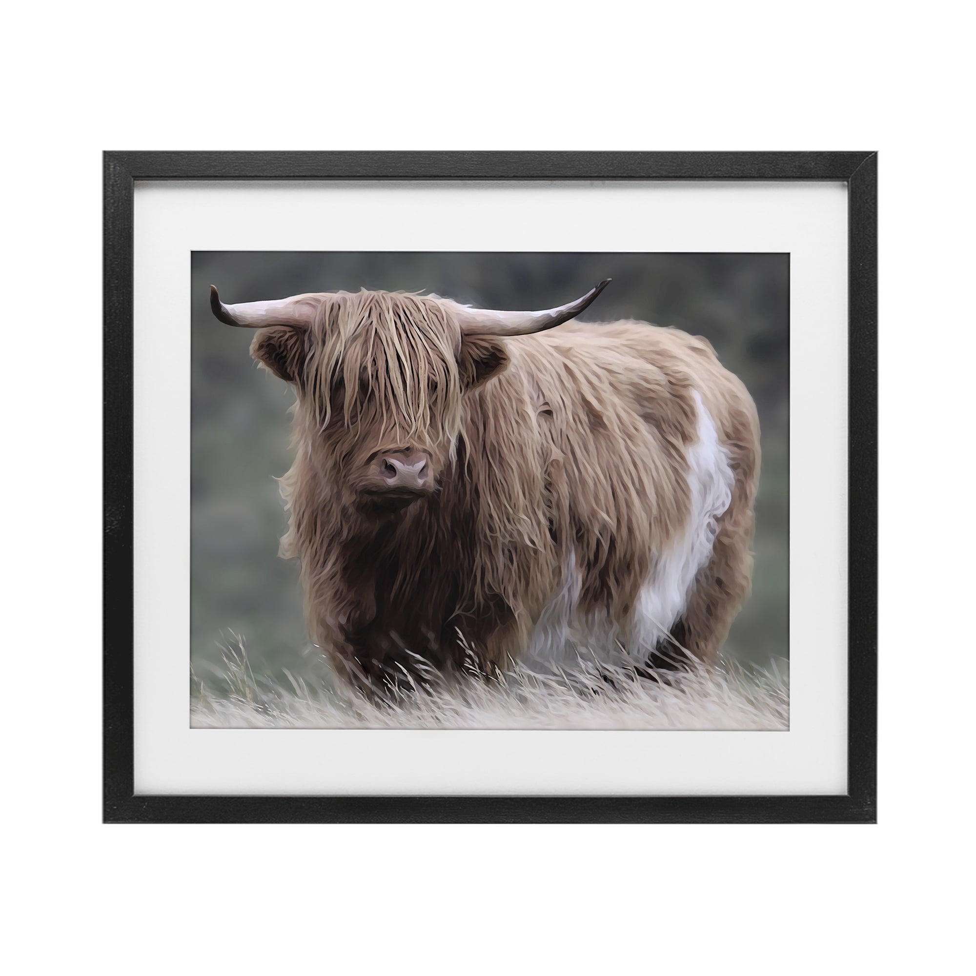 Stupell Industries Wandering Harry Highland Cattle Black Framed Print Under Glass, design by Marcus Prime