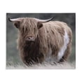 thumbnail image 1 of Stupell Industries Farmhouse Wandering Harry Highland Cattle Canvas Art, 30 x 24, by Marcus Prime, 1 of 8