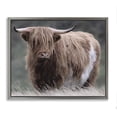 thumbnail image 1 of Stupell Industries Farmhouse Wandering Harry Highland Cattle Gray Floating Frame Canvas Art, 31 x 25, by Marcus Prime, 1 of 8