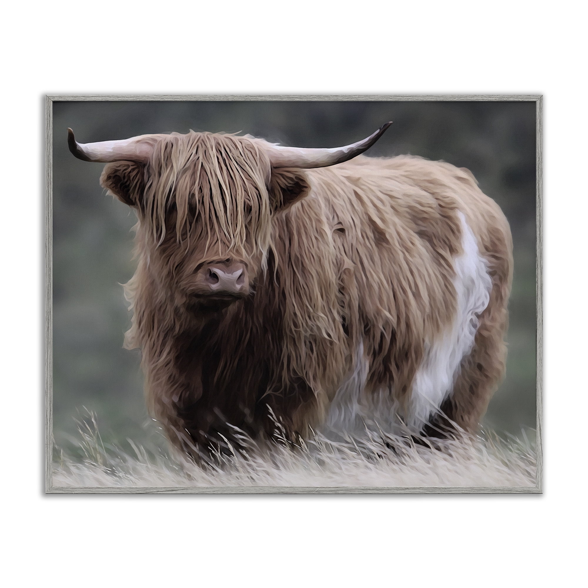 Stupell Industries Wandering Harry Highland Cattle Gray Framed Giclee Art, design by Marcus Prime
