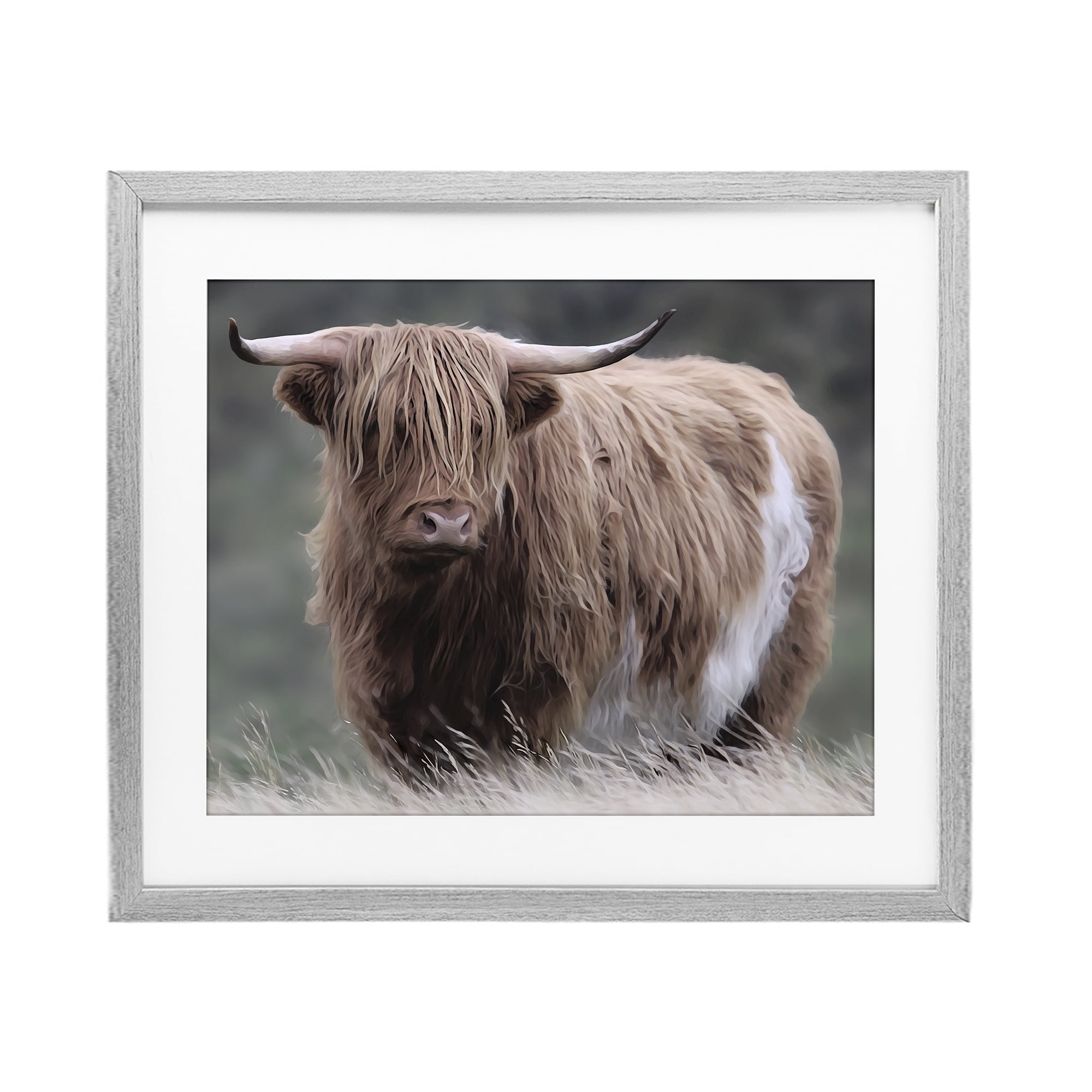 Stupell Industries Wandering Harry Highland Cattle Gray Framed Print Under Glass, design by Marcus Prime
