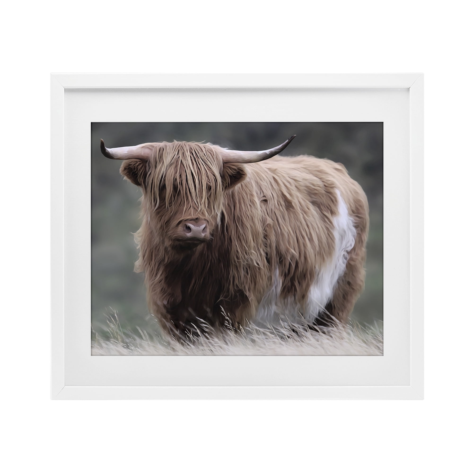 Stupell Industries Wandering Harry Highland Cattle White Framed Print Under Glass, design by Marcus Prime
