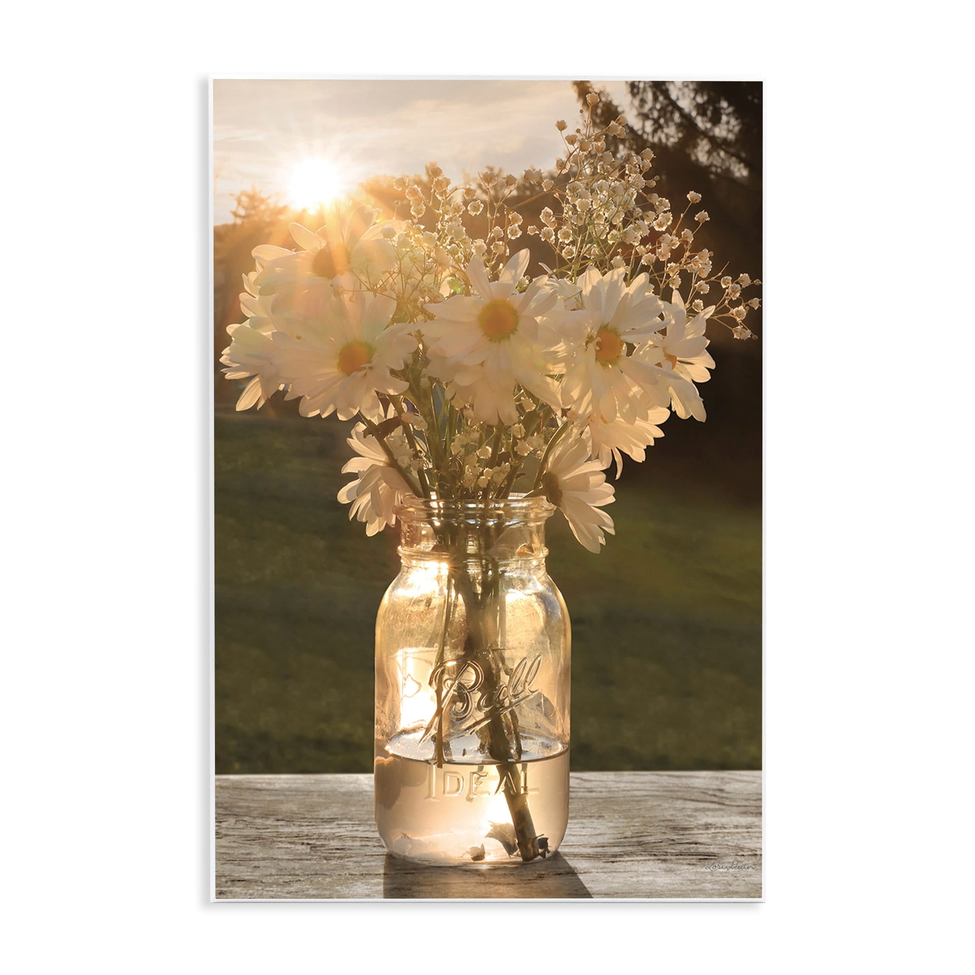 Stupell Industries Warm Meadow Daisies Mason Jar Rural Picnic Flowers,13 x 19, Design by Lori Deiter