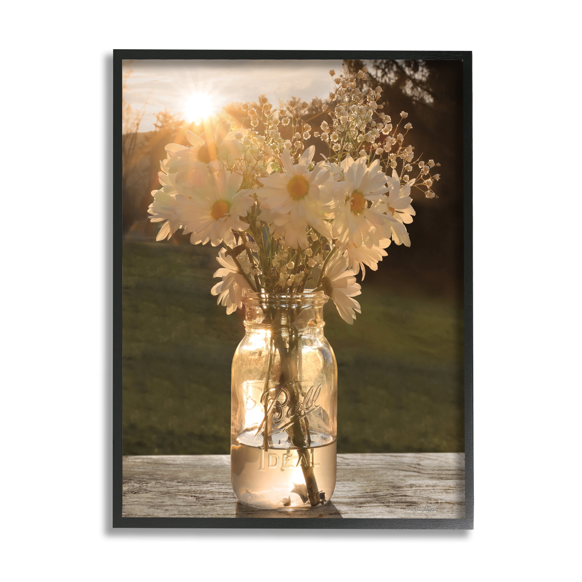 Stupell Industries Warm Meadow Daisies Mason Jar Rural Picnic Flowers,24 x 30, Design by Lori Deiter