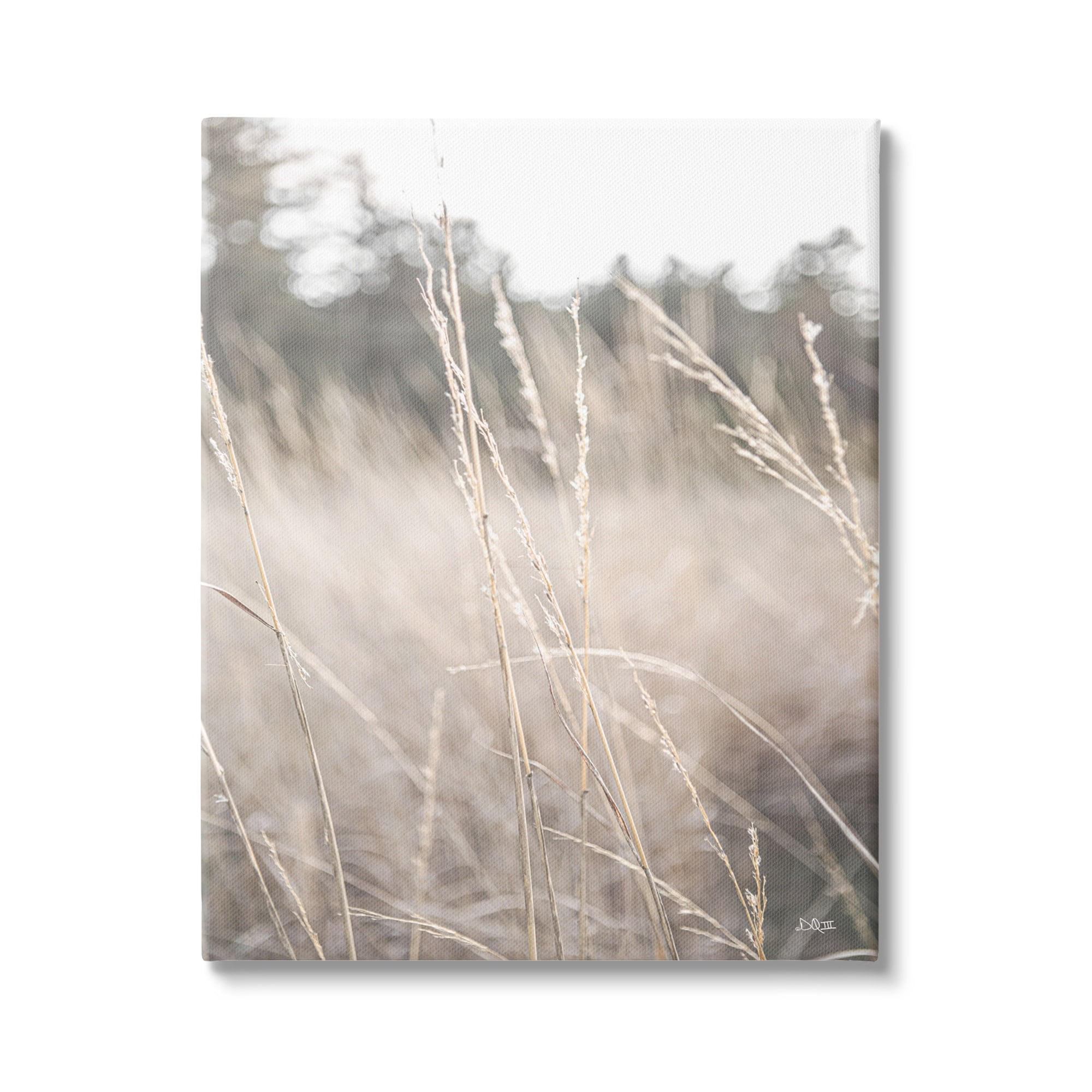 Warm Beige Tall Grass Countryside Canvas Wall Art, 24 x 30