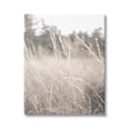 thumbnail image 1 of Stupell Industries Warm Rural Field Tall Grass Countryside Scenery Canvas Wall Art, 30 x 40, Design by Donnie Quillen, 1 of 7