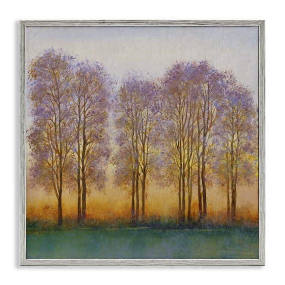 Stupell Industries Traditional Warm Sunset Sky Trees Silhouettes Nature Scene Gray Framed Giclee Art, 24 x 24, by Tim O'Toole