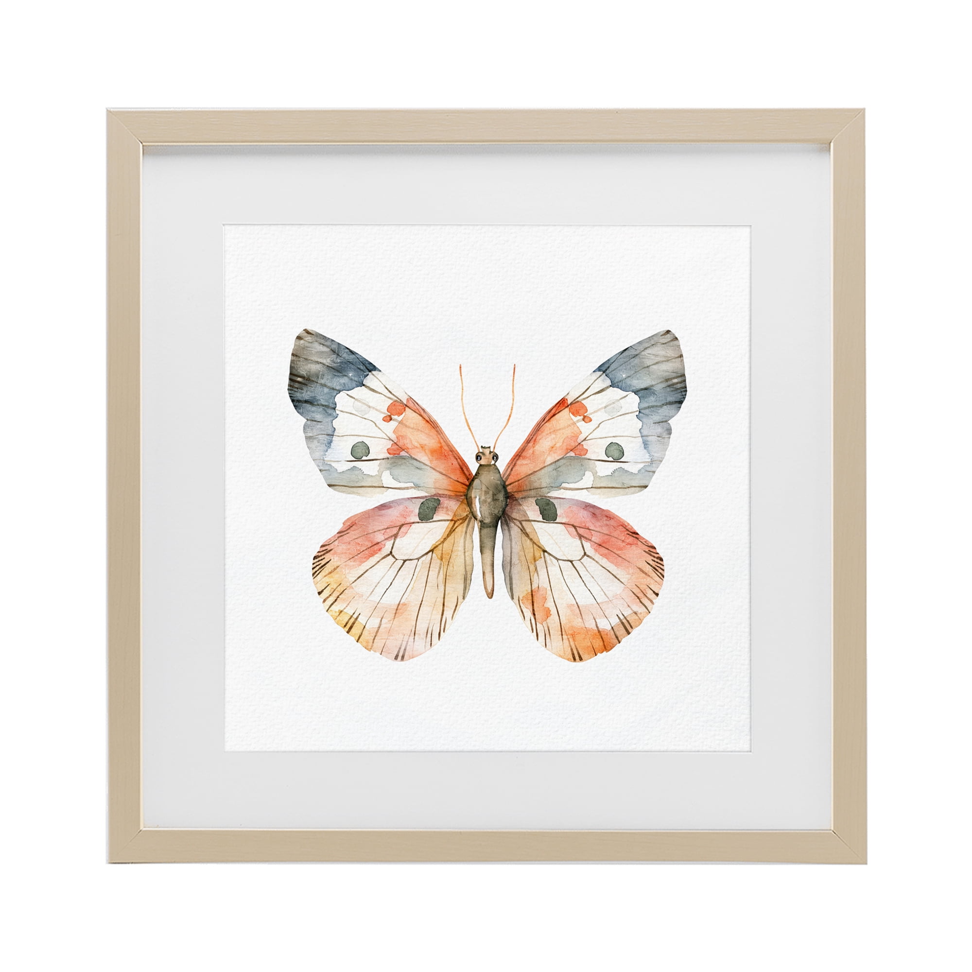 Stupell Industries Warm Watercolor Butterfly Birch Framed Print Under Glass, design by Kim Allen