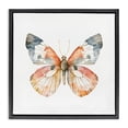 thumbnail image 1 of Stupell Industries Transitional Warm Watercolor Butterfly Black Floating Frame Canvas Art, 25 x 25, by Kim Allen, 1 of 8