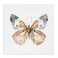 thumbnail image 1 of Stupell Industries Transitional Warm Watercolor Butterfly Canvas Art, 24 x 24, by Kim Allen, 1 of 8